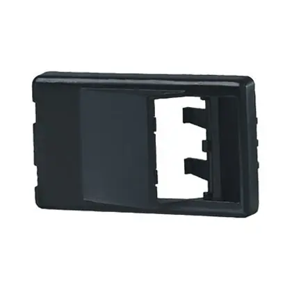 Furniture Faceplate, 2 port, Angled Blac Professional Grade