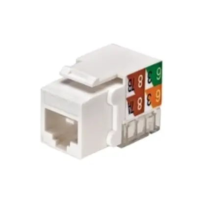 RJ45 Jack, Cat 6, Blue Express Delivery