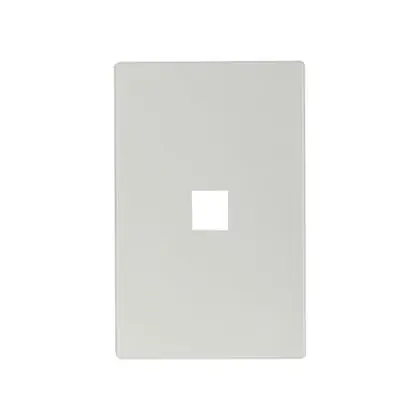 Wallplate Aspire 1G 1Port Modular Mid WS Get Yours