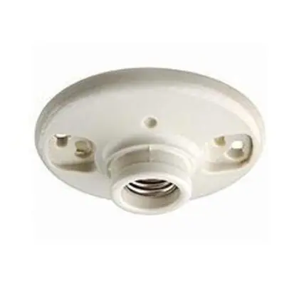 Low Price Incandescent Lampholder, Medium Base, Keyless