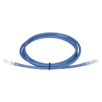 Buy Today Cu Patch Cord,Cat 6,BU UTP Cable,5ft,EA