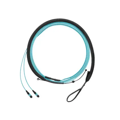 Viral OM4 12-Fiber Round Harness, Plenum, Fema
