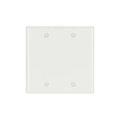 Special Discount Wallplate 2G Blank Thrmst Box Mt Std WH